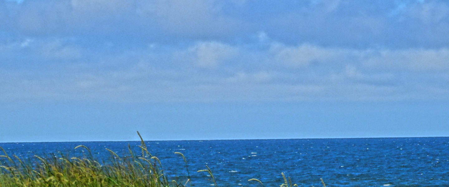 Dsc03316